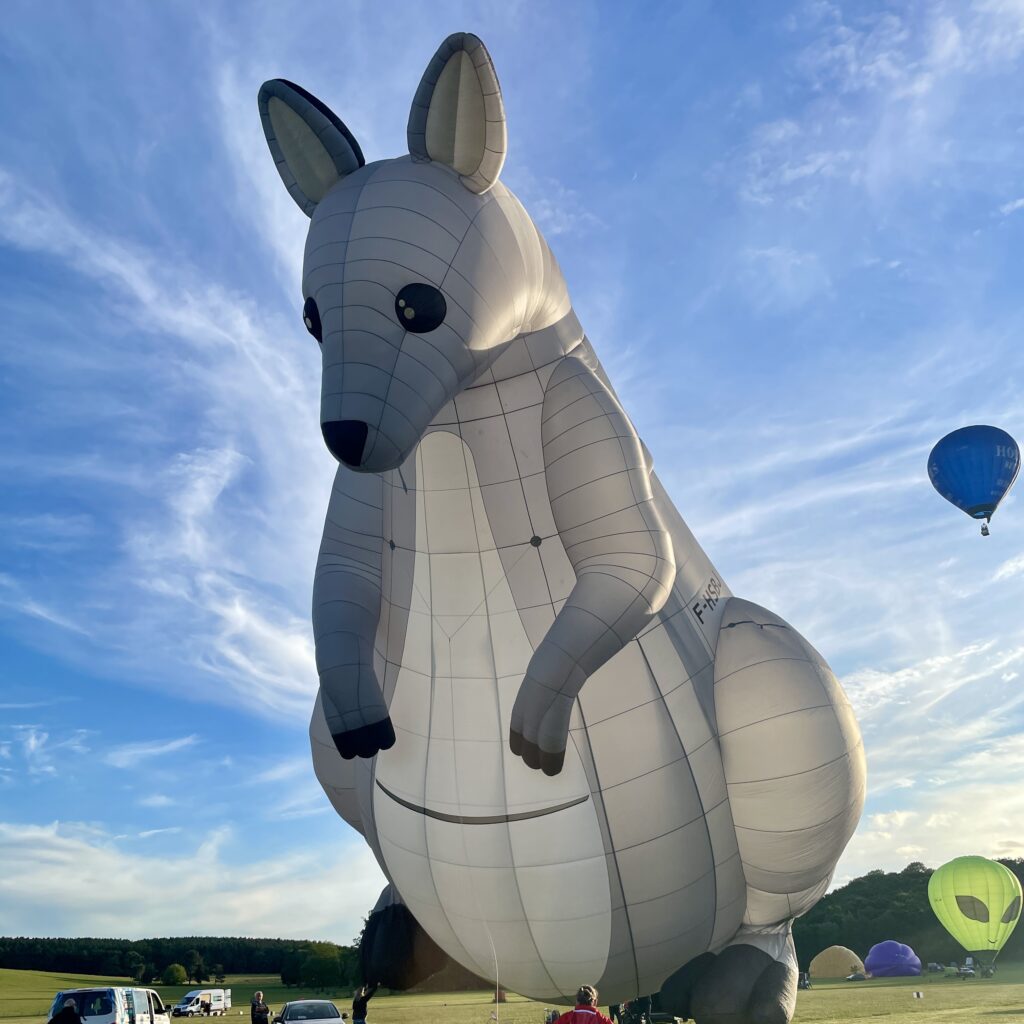 Montgolfiere kangaroo